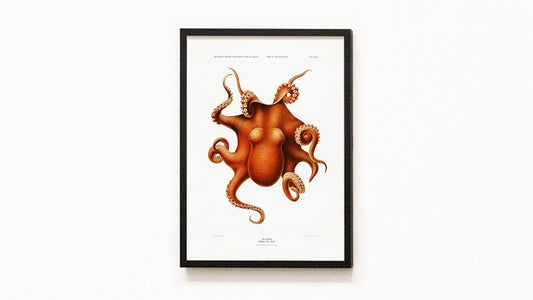 Vintage Nautical Octopus Art Print