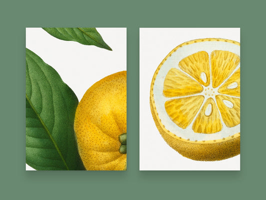 Vintage Lemon Twist - Set of 6 Prints