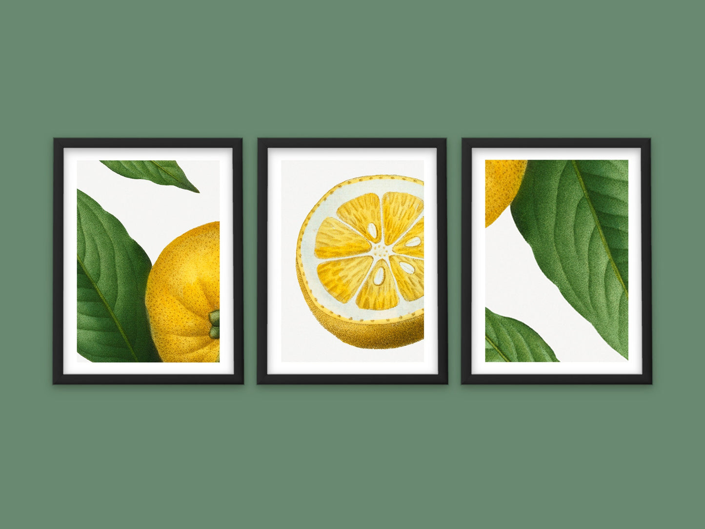 Vintage Lemon Twist - Set of 3 Prints