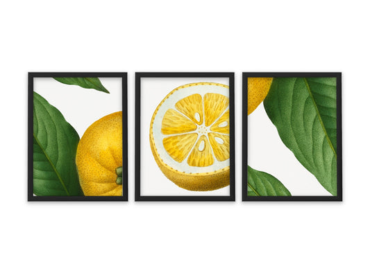 Vintage Lemon Twist - Set of 3 Prints