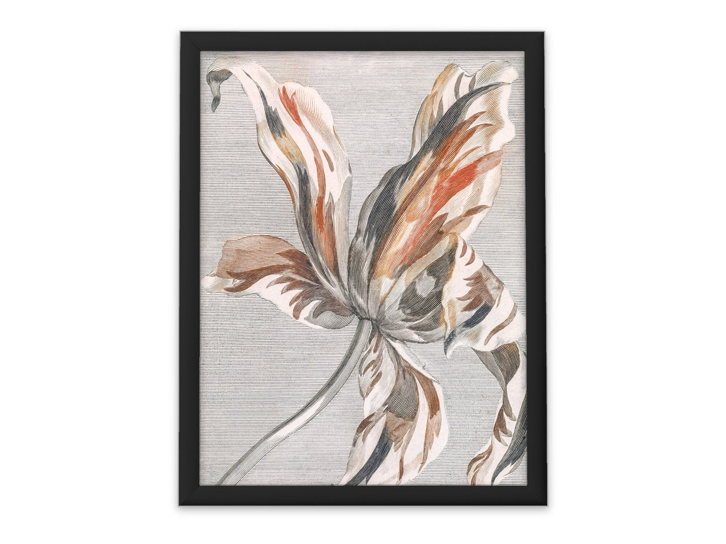 Botanical Vintage Tulip Art Print