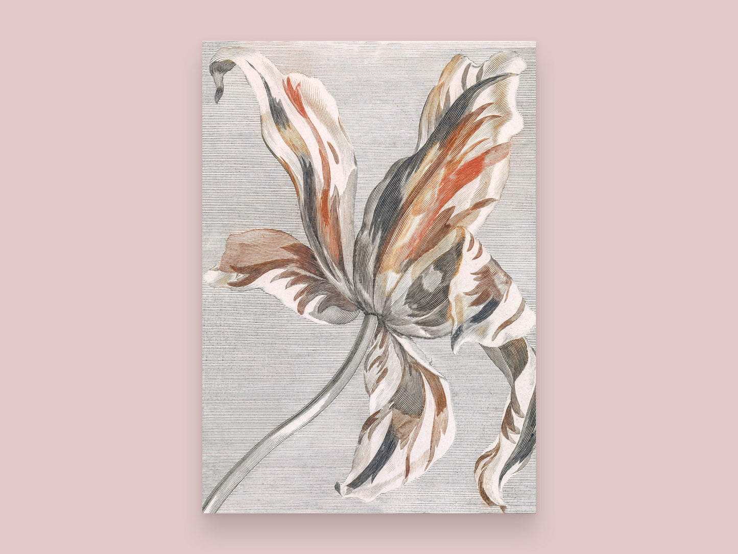 Botanical Vintage Tulip Art Print