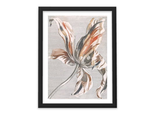 Botanical Vintage Tulip Art Print