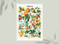 Botanical Vintage Fruits - Kitchen Chart Print