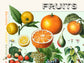 Botanical Vintage Fruits - Kitchen Chart Print