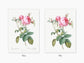 Botanical Vintage Roses - Set of 3 Prints