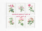 Botanical Vintage Roses - Set of 3 Prints