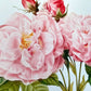 Botanical Vintage Roses - Set of 6 Prints