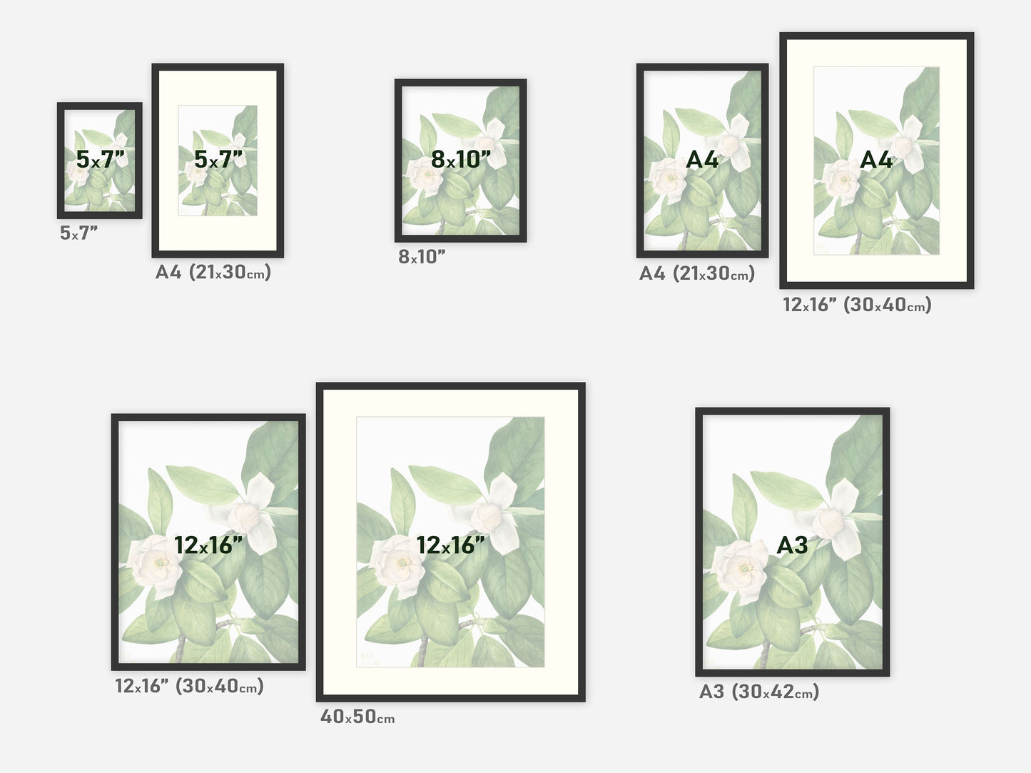 Botanical Vintage Roses - Set of 6 Prints