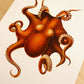 Vintage Nautical Octopus Art Print