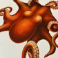 Vintage Nautical Octopus Art Print